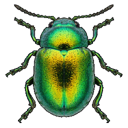 /assets/0/a/green.png