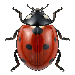 /assets/0/a/ladybug.png