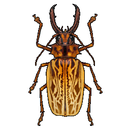 /assets/0/a/sabertooth_longhorn.png