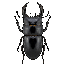 /assets/0/a/stag.png