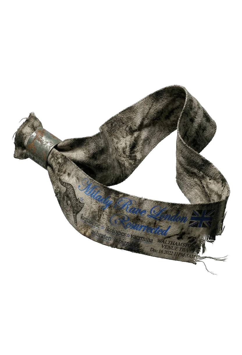 /assets/images/characters/junk/a/event_band.webp