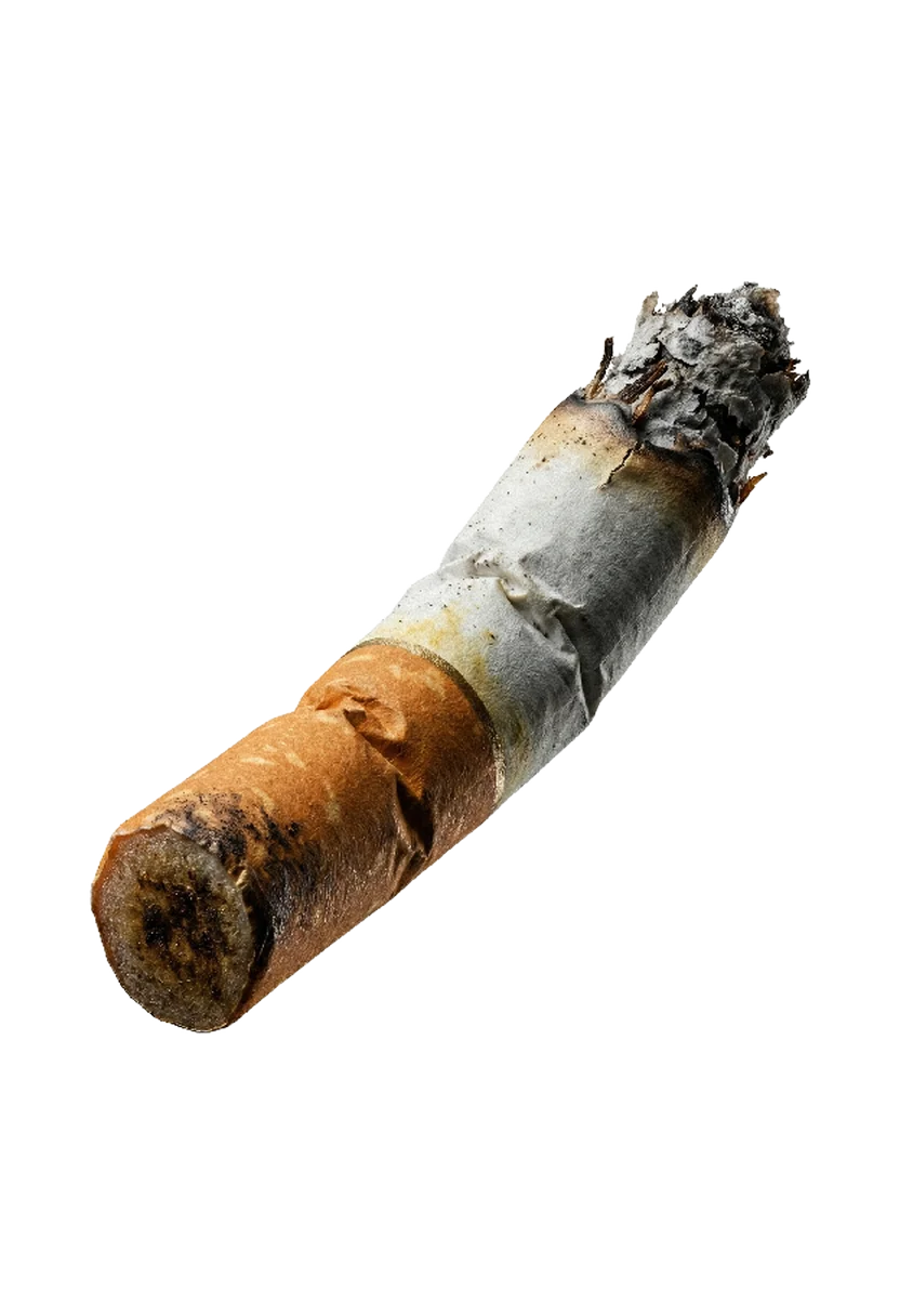 cigarette_butt.webp