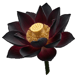 black_lotus.png